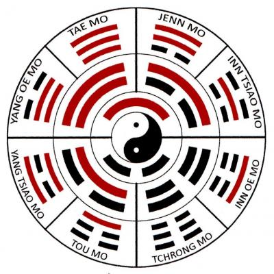 Tao yi jing
