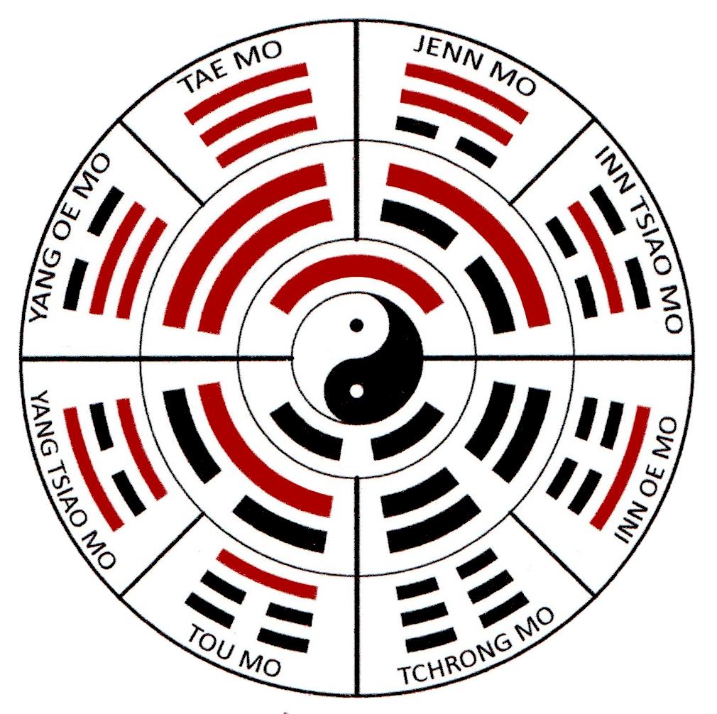 Tao yi jing